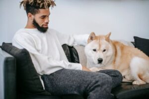 Best Sofa Fabric for Pet Owners: What Actually Holds Up